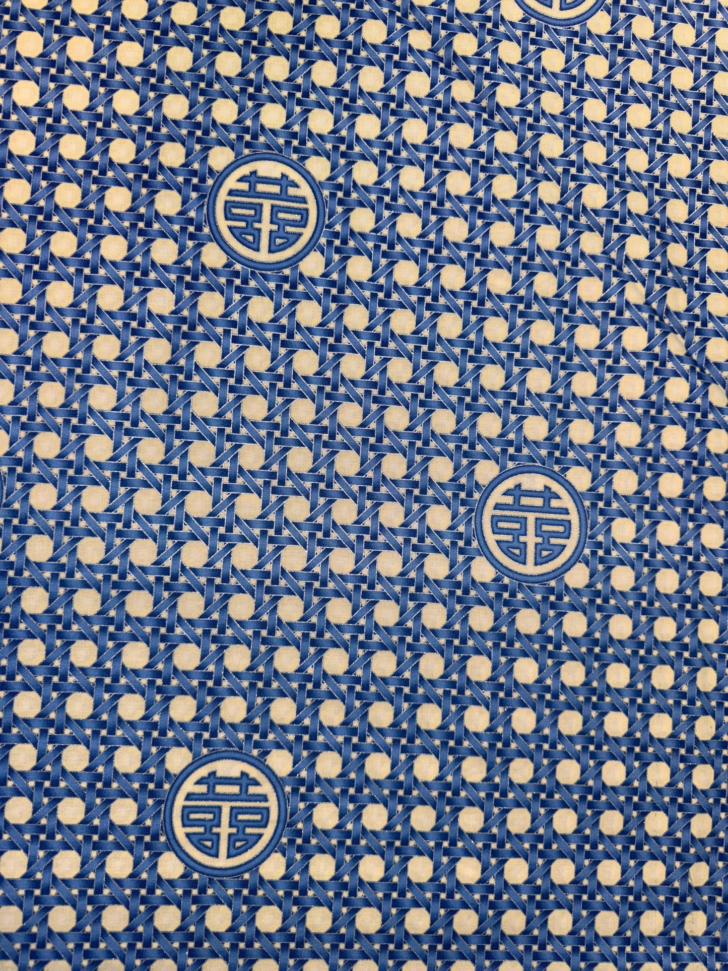 Summer Palace by Leesa Chandler -Wicker in Blue