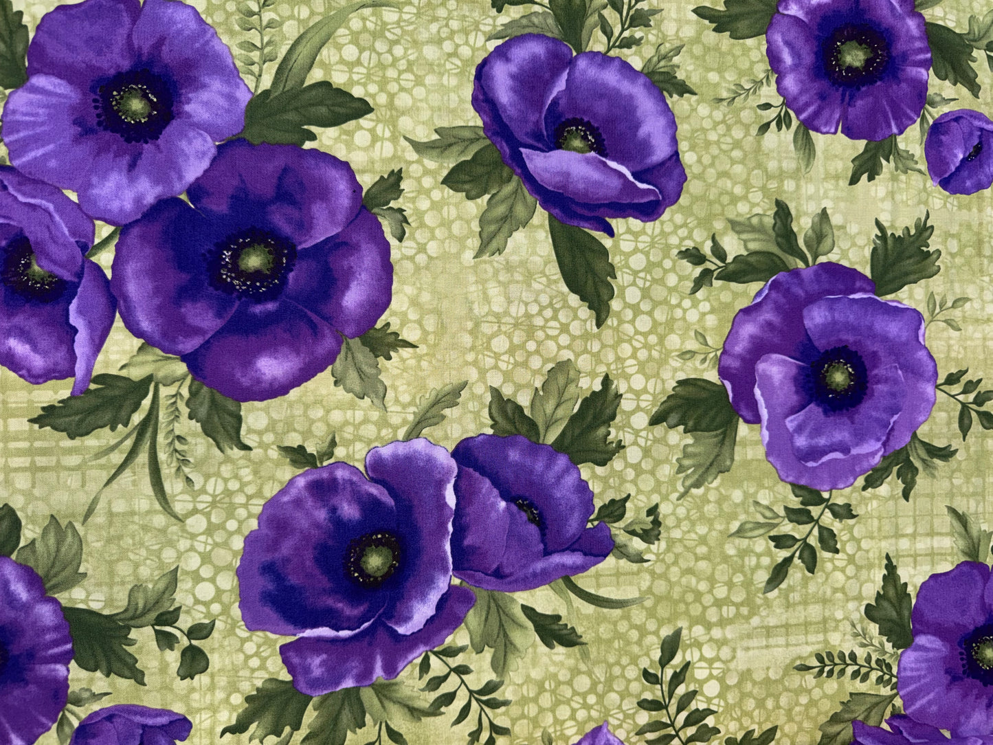 Midnight Purple Poppies
