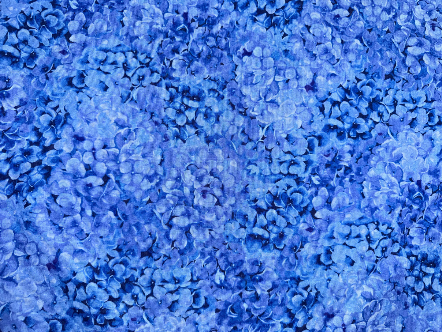 Floral Fantasy by Jinny Beyer - Blue Hydrangea