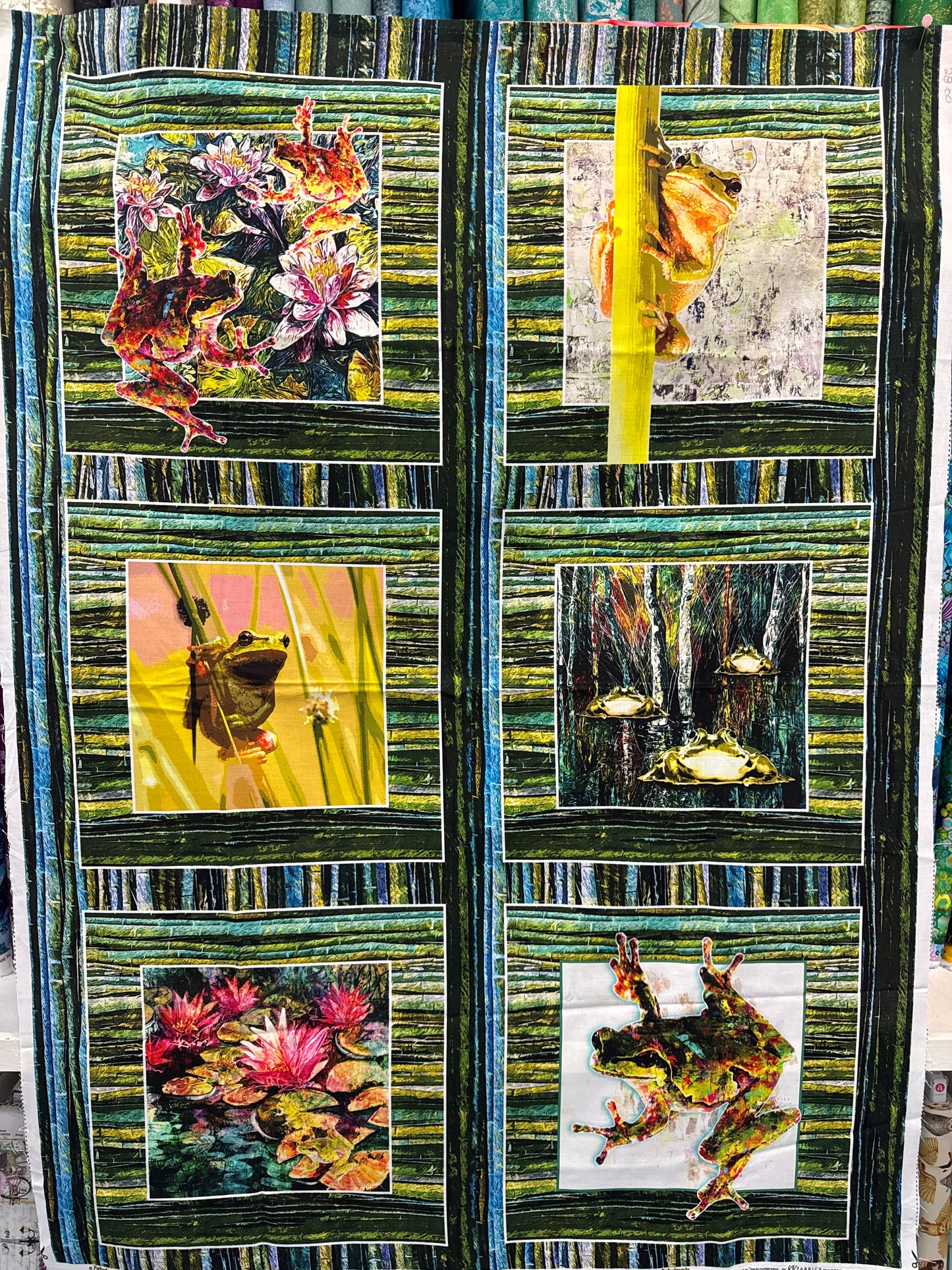 Fabulously Froggie!! A 6 Frog panel.