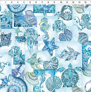 Wonders of the Ocean by Jason Yenter - Shell Collage