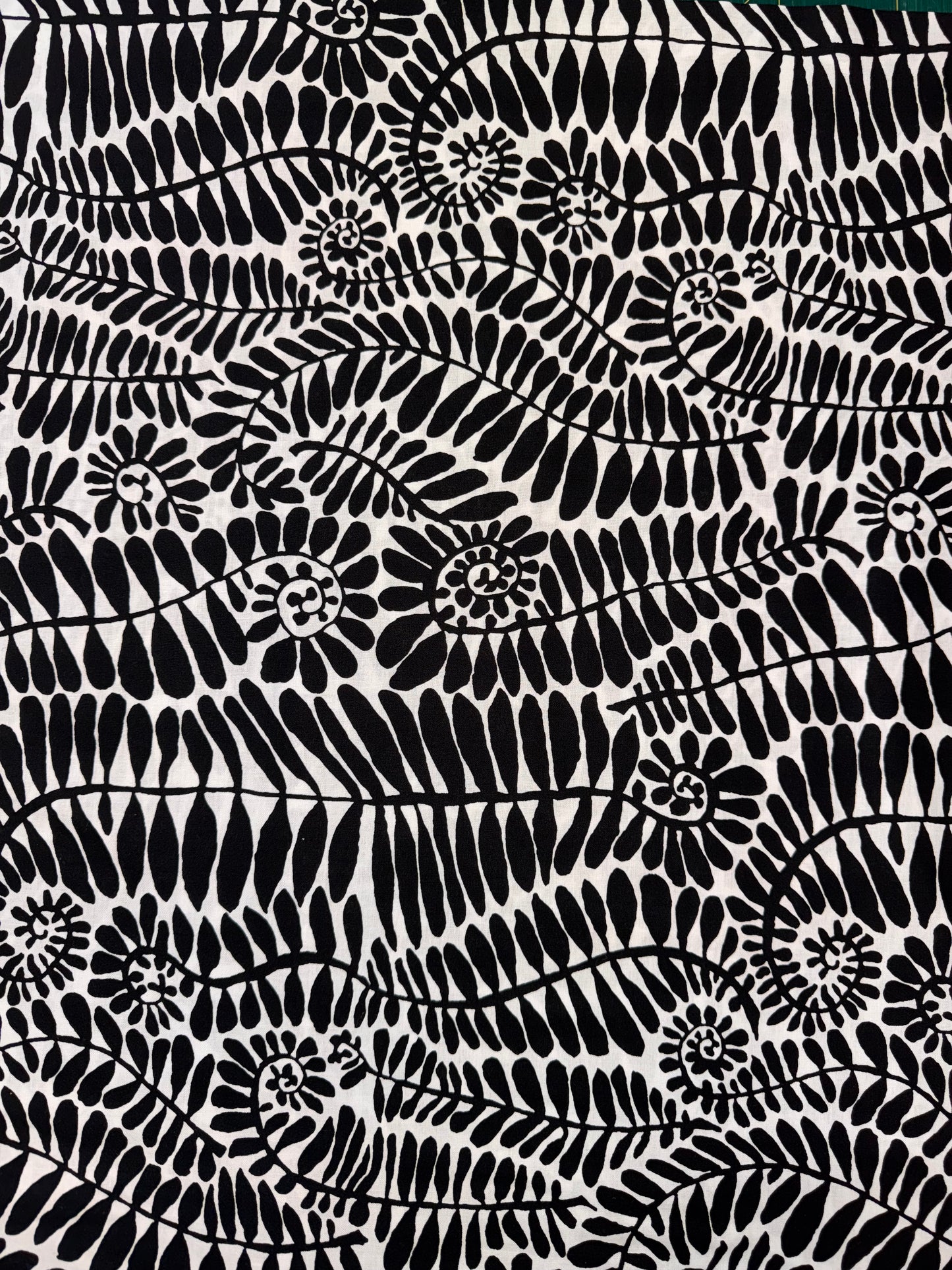 Kaffe Fassett Fronds in Black and White 4.8m available