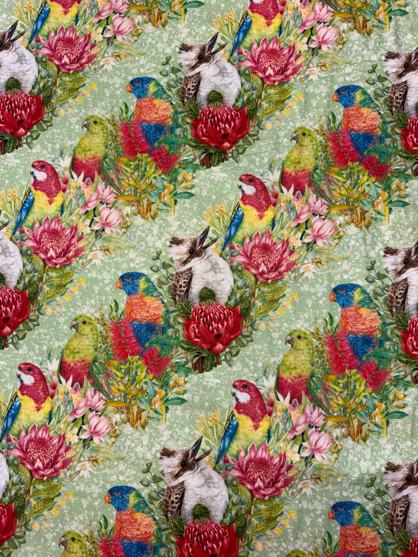 DV7046 Kayla Reay Australian Birds on a Green Background