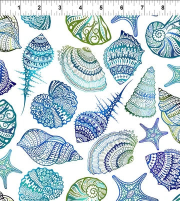 Wonders of the Ocean by Jason Yenter - Shells