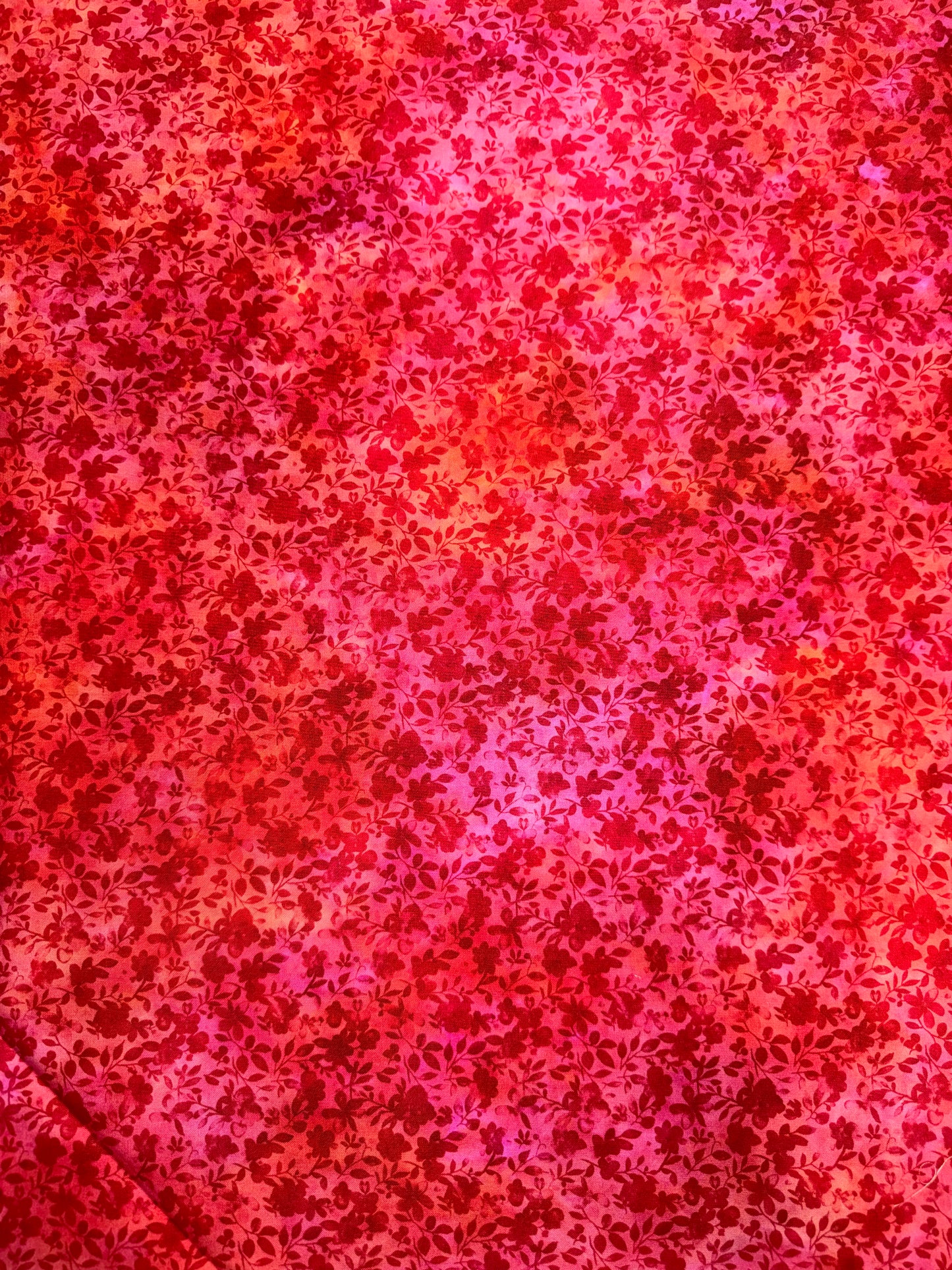 Blooming Day and Night by Jason Yenter - Orange Red Floral
