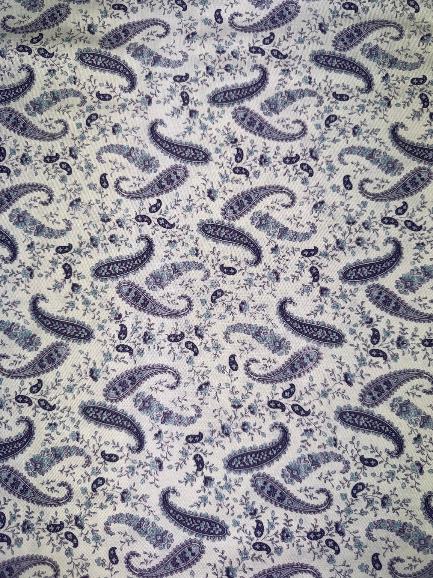 Twilight Garden Purple Paisley