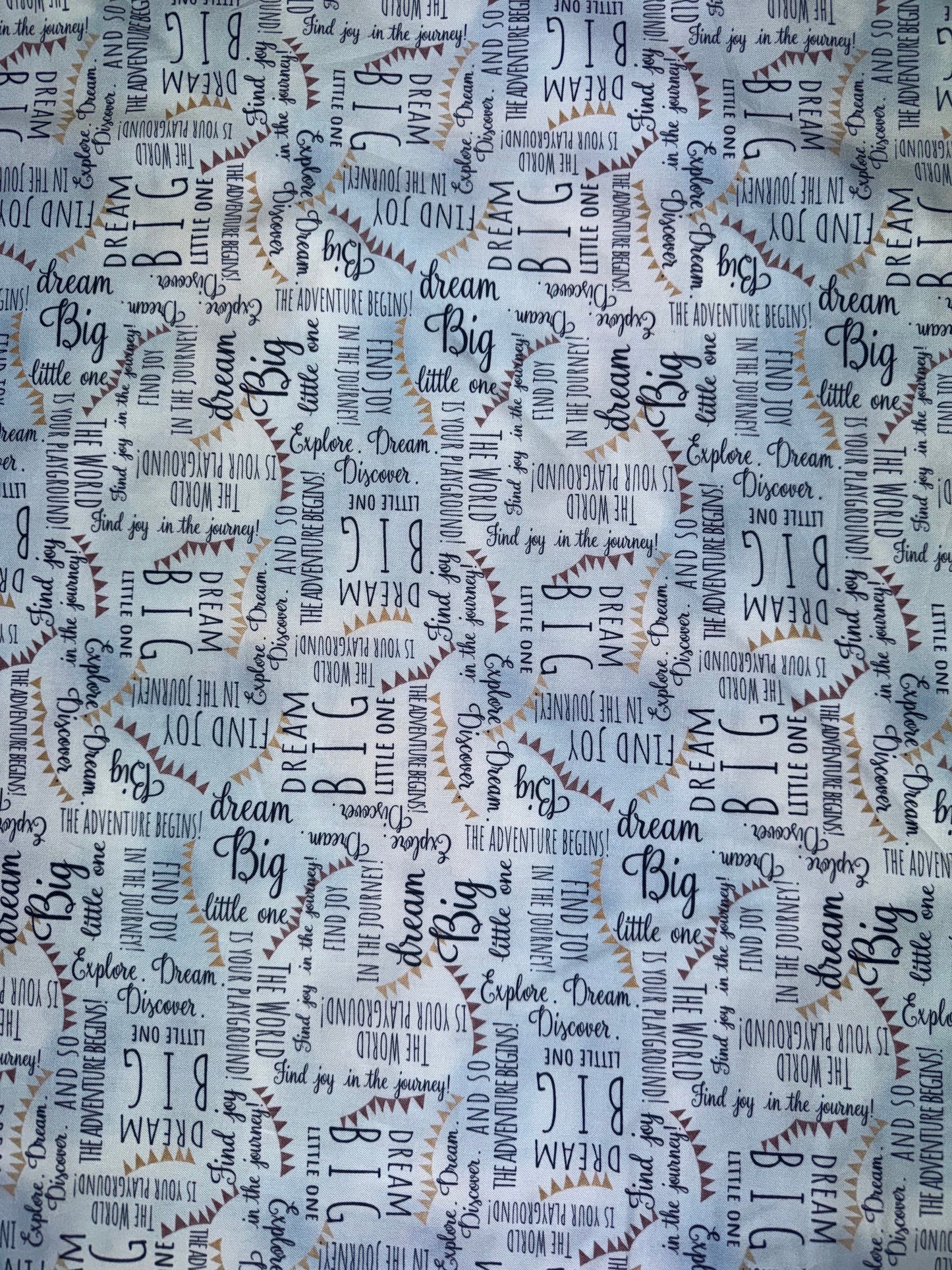 Let's Go On An Adventure Allover Fabric