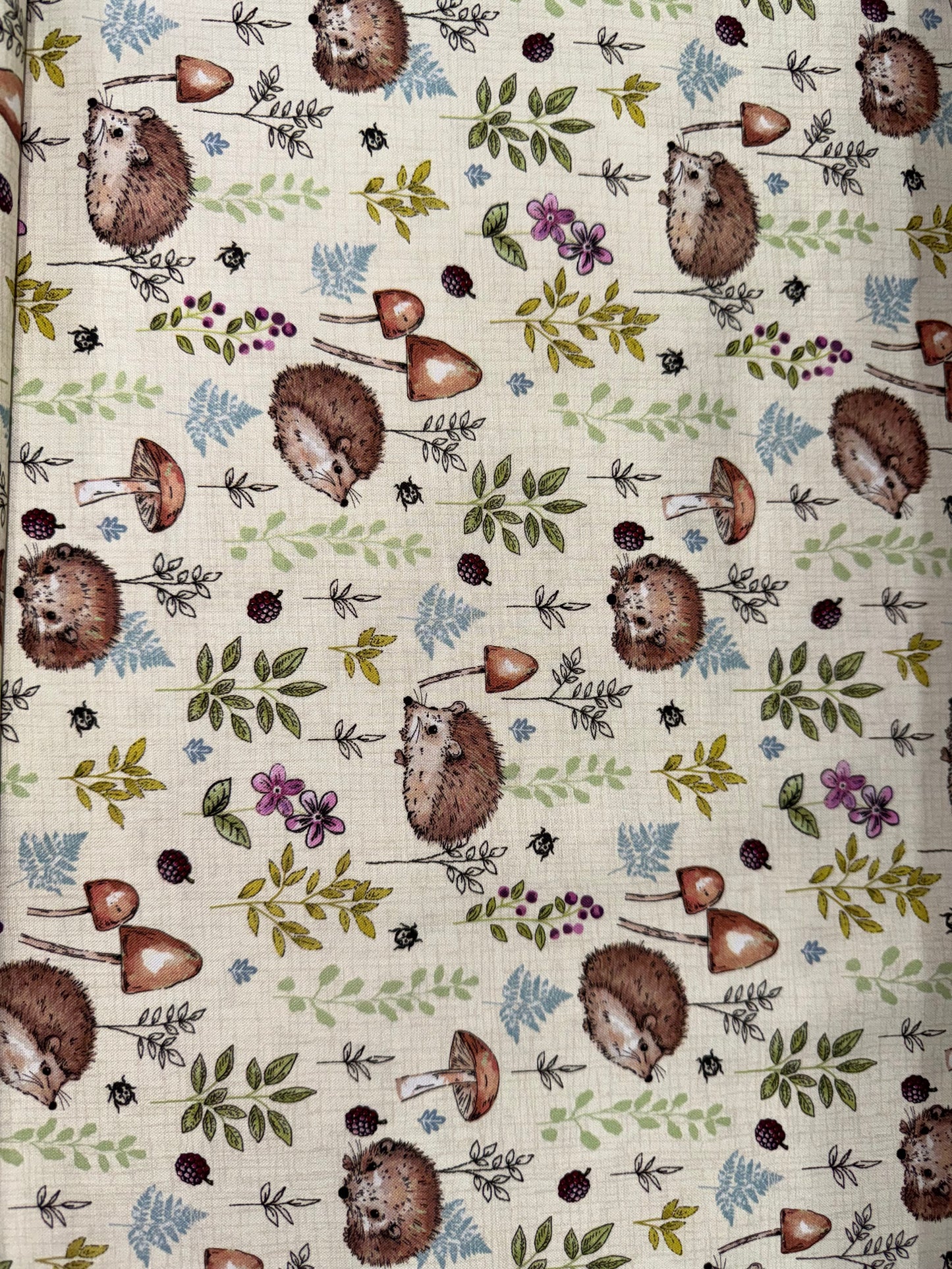 Woodland - Hedgehog