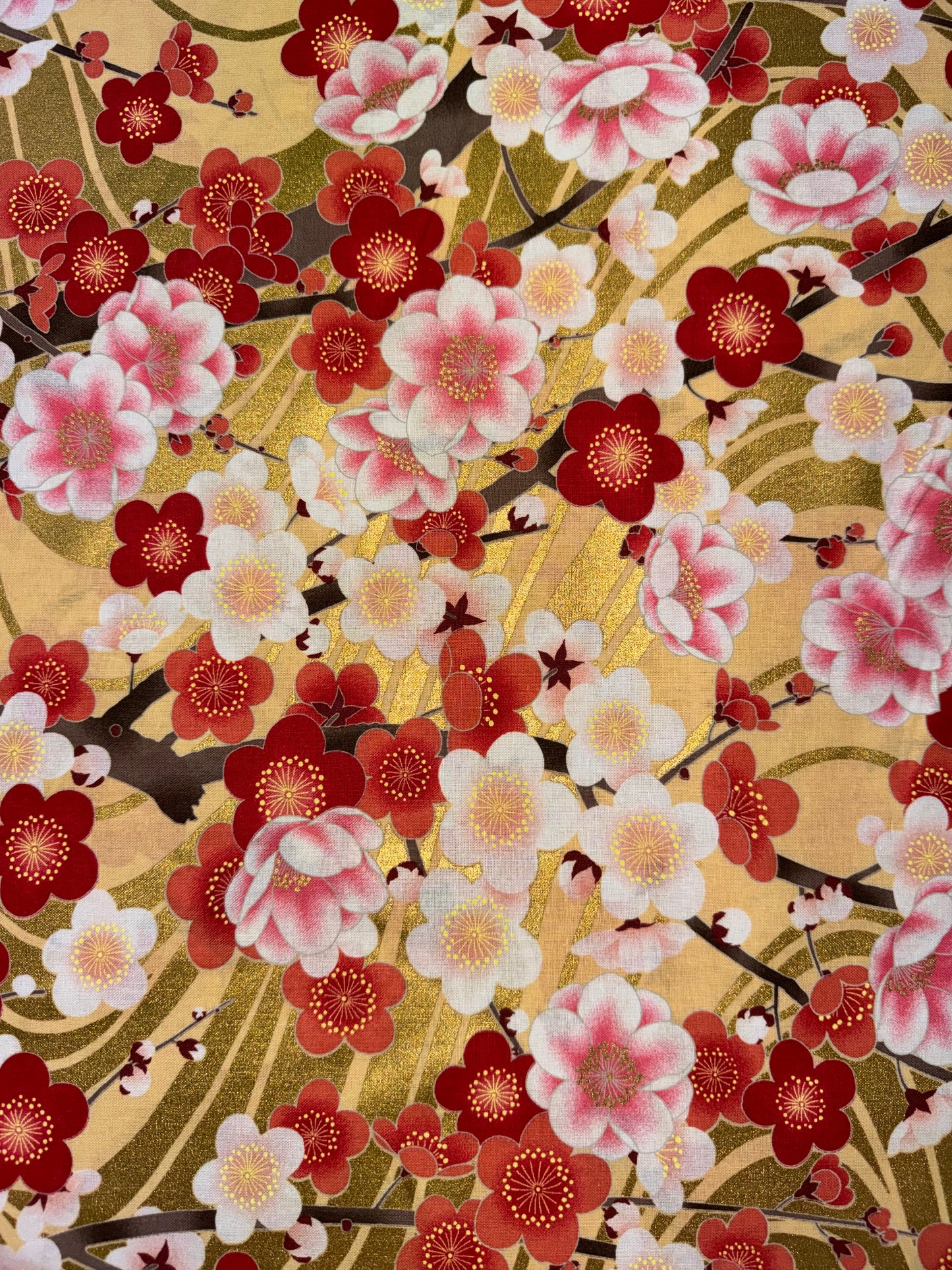 Toki - Cherry Blossoms on a Gold Background