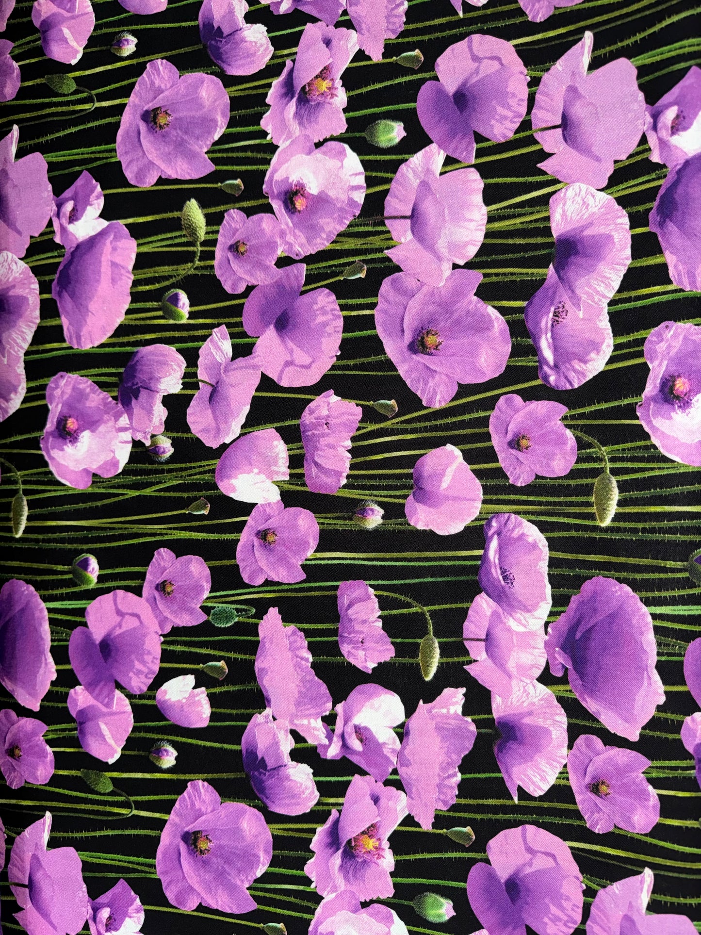 Purple Poppies on black background Wideback 108"