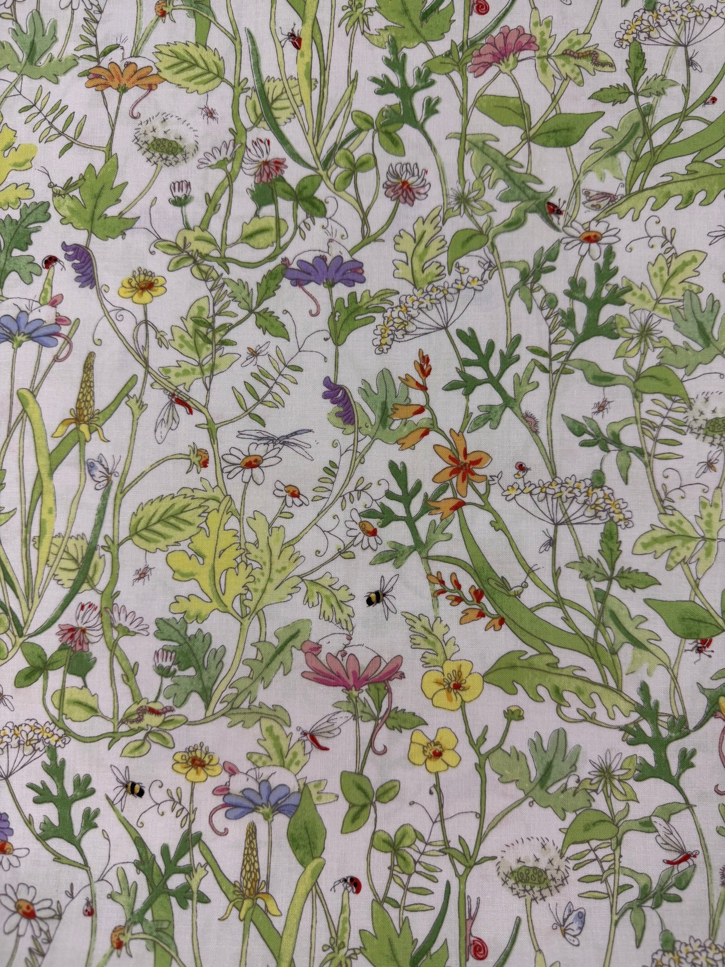 Mouseplay - Meadow - White Background