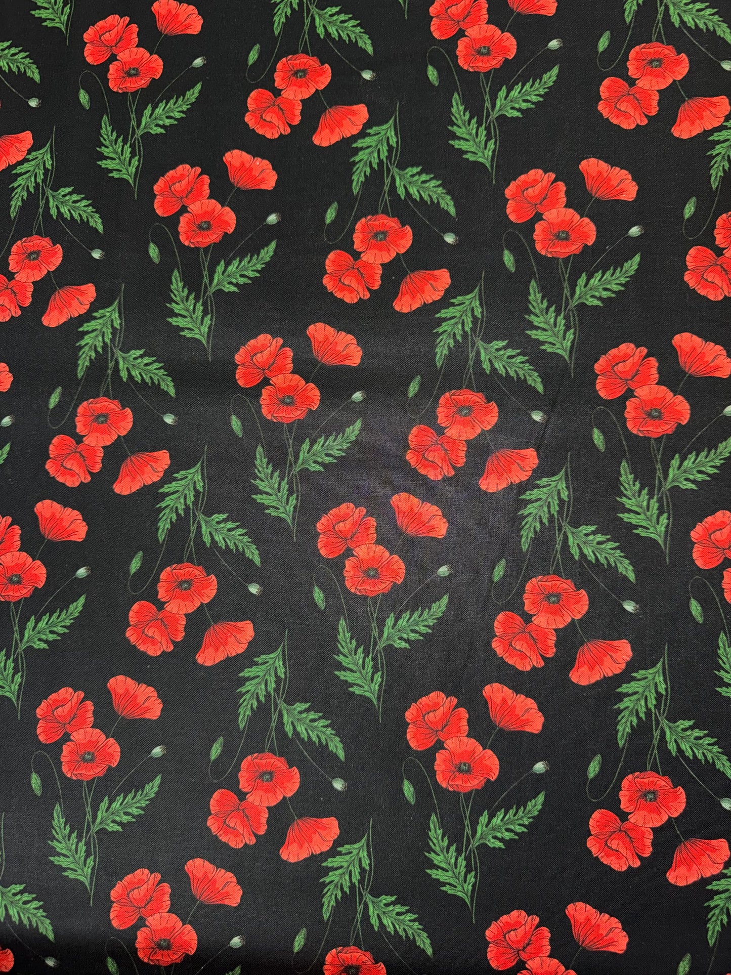 Red Poppies on Black Background