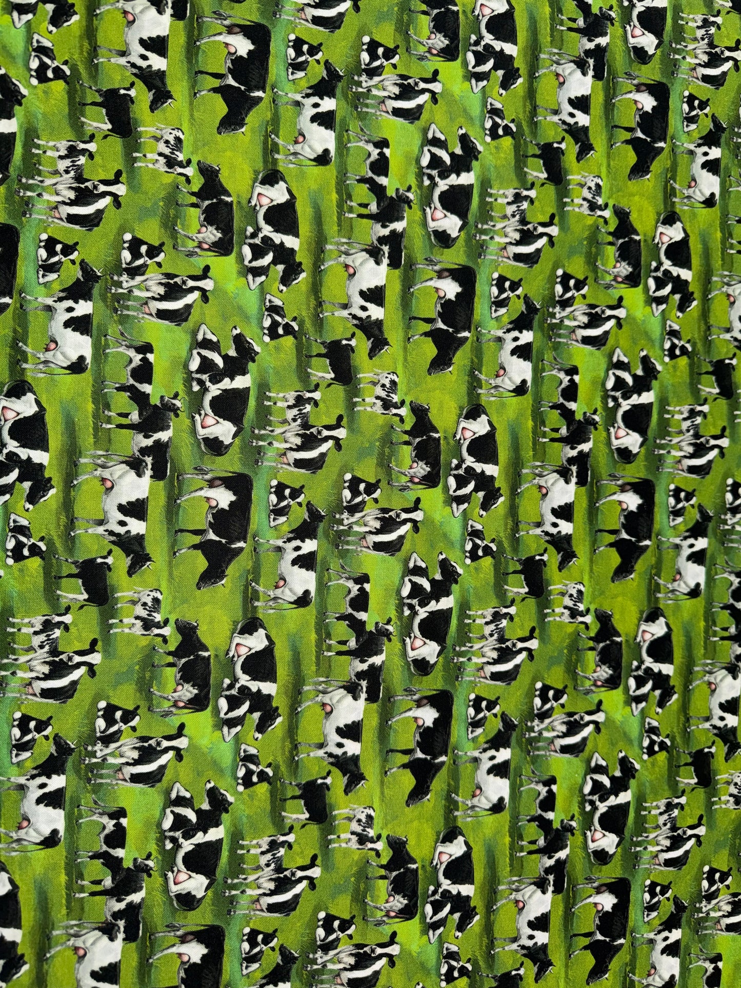 Cows on a Green Field Background