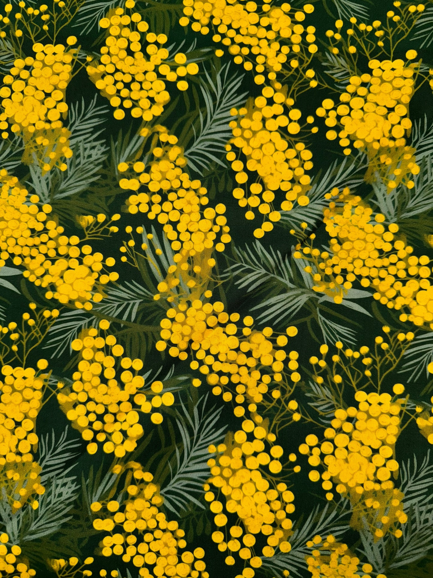 Nora's Natives Wattle DV6711