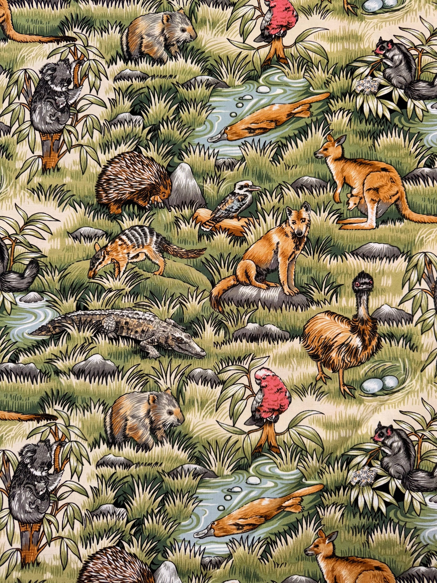 Australia Wild - all the creatures of Australia