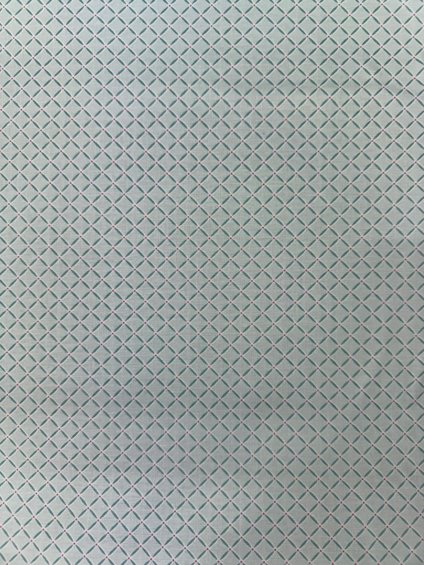 Le Petit Escargot - Slow Down - Teal