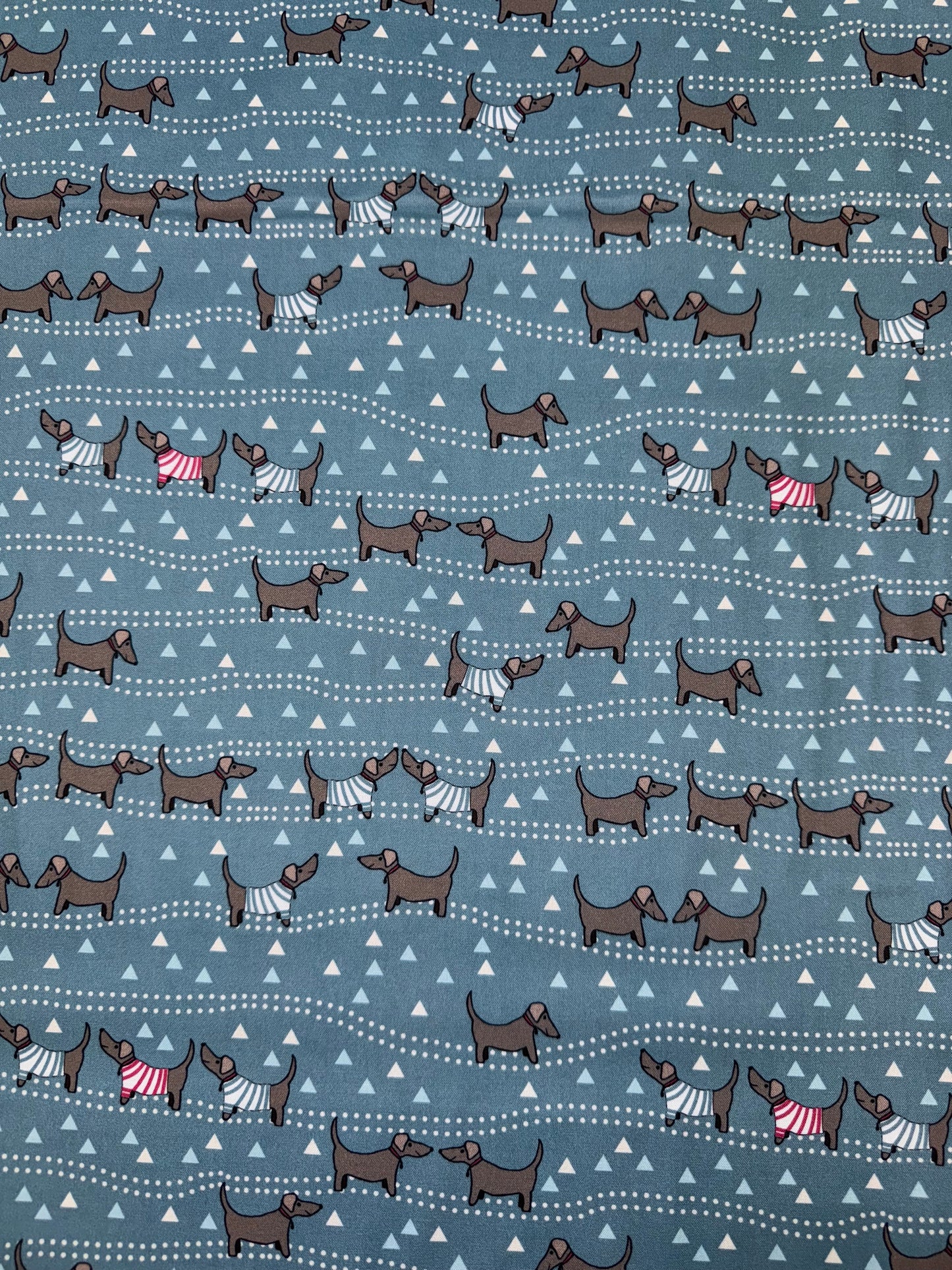 Dachshund Sausage Dogs on a Blue background DV6537