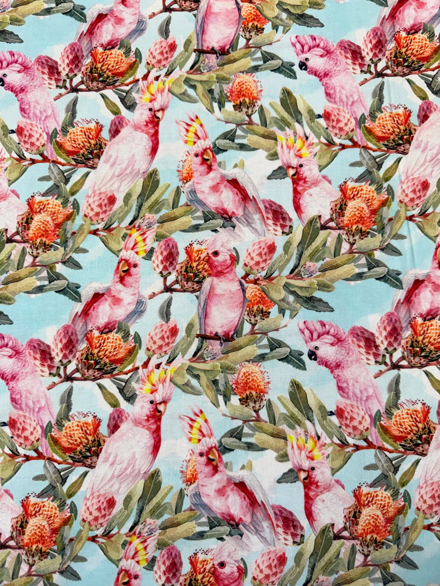 Bushland Chorus - Pink Cockatoos