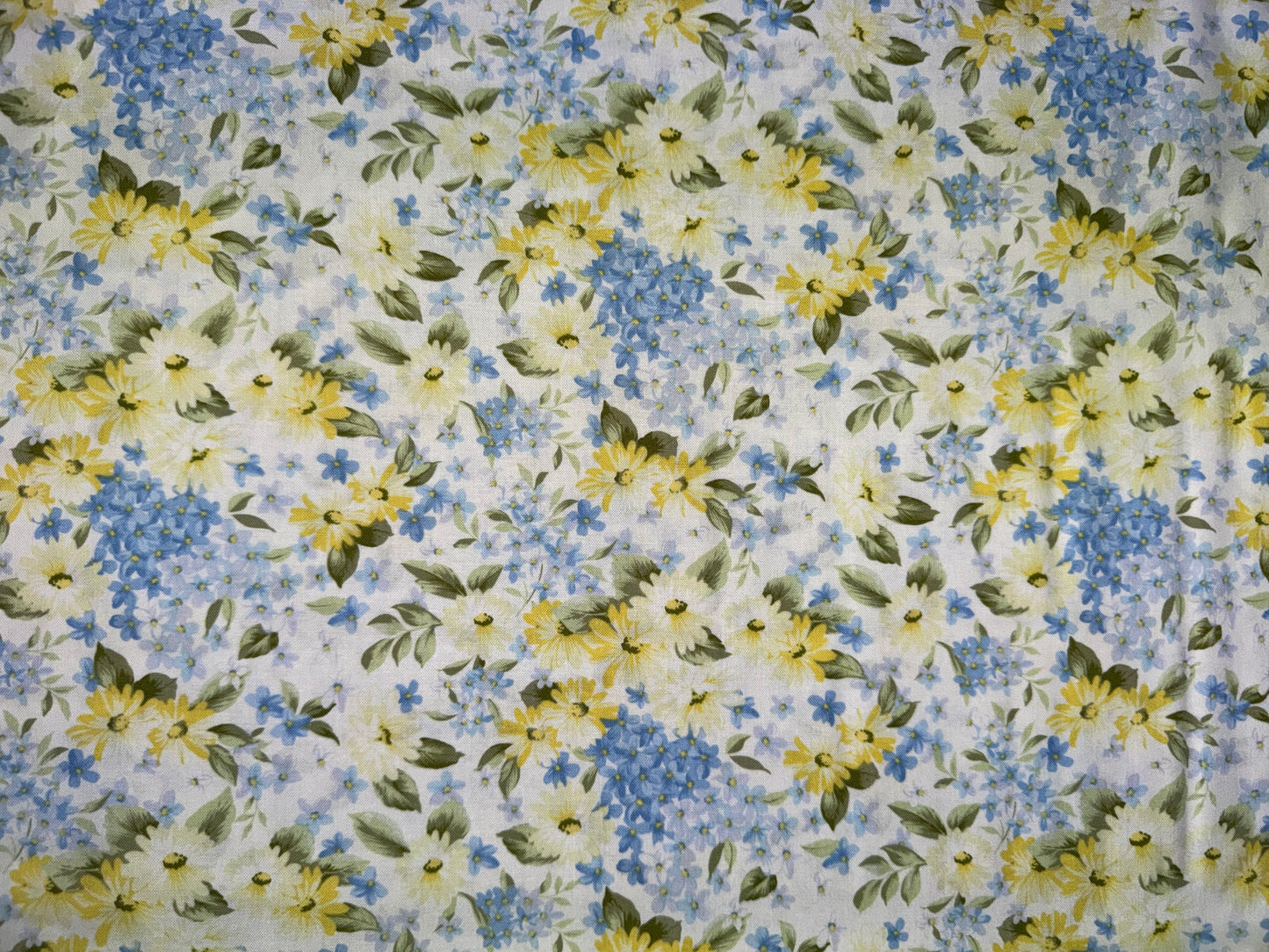 Yellow and Blue Daisies
