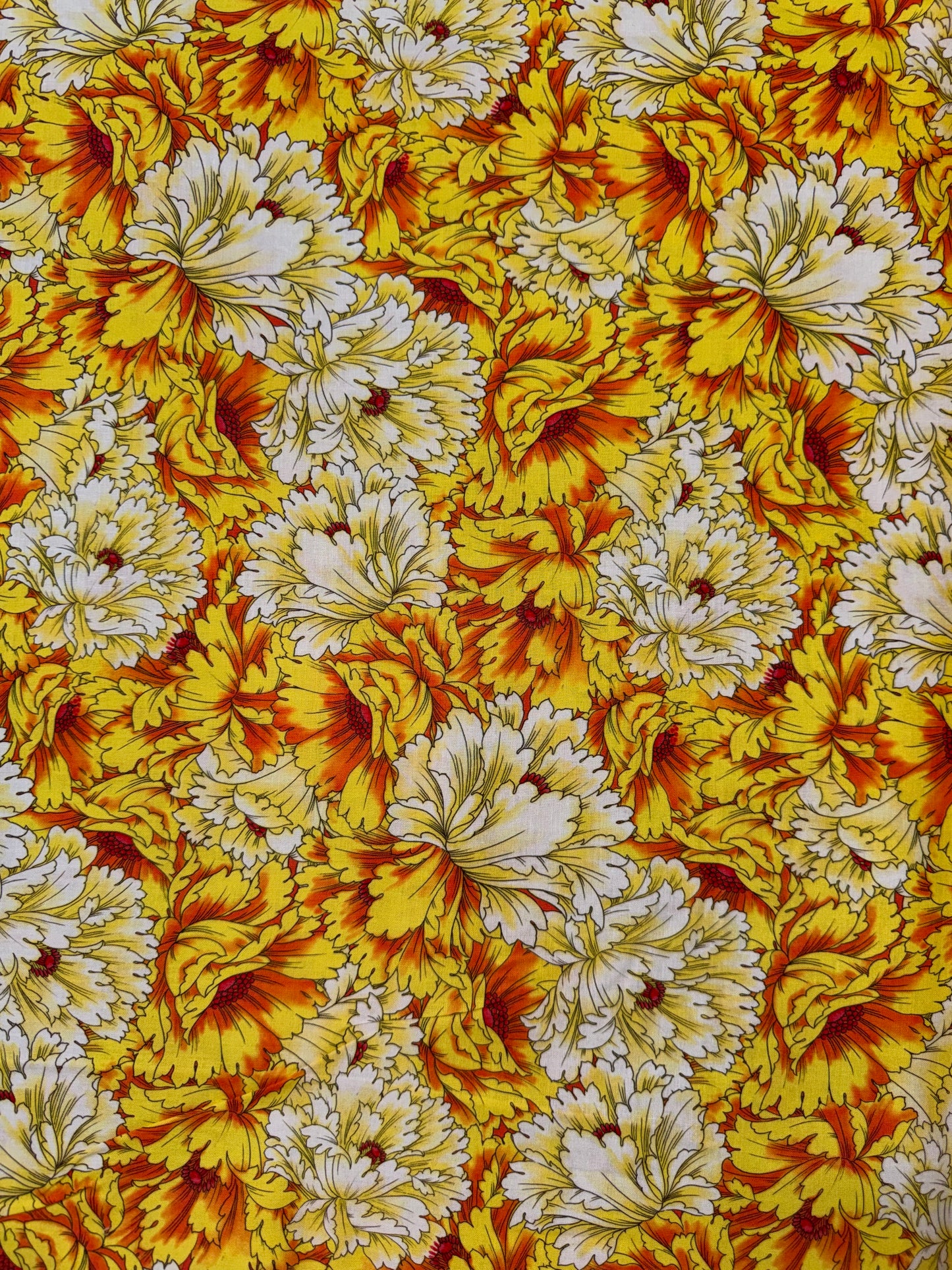 Yellow Dianthus