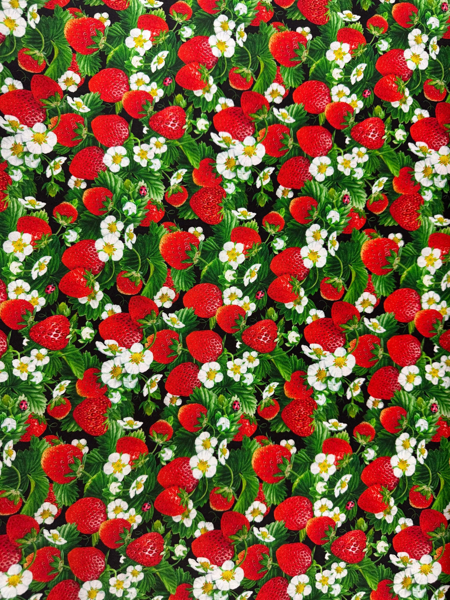 Strawberry Fields Black