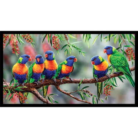 Natalie Jane Parker Fabric Panel - Lorikeets DV3702