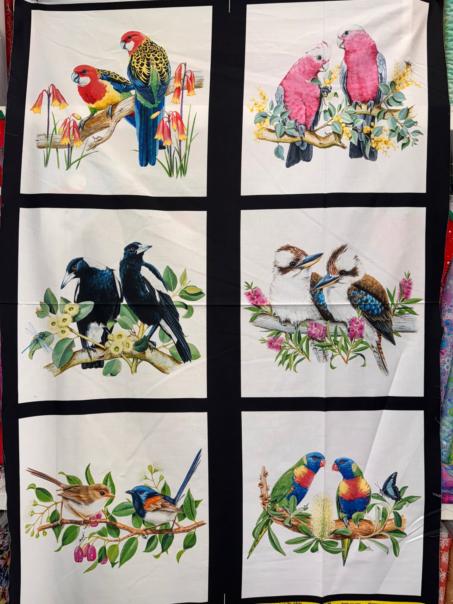 Natalie Jane Parker Fabric Panel - 6 Australian Birds - DV3188