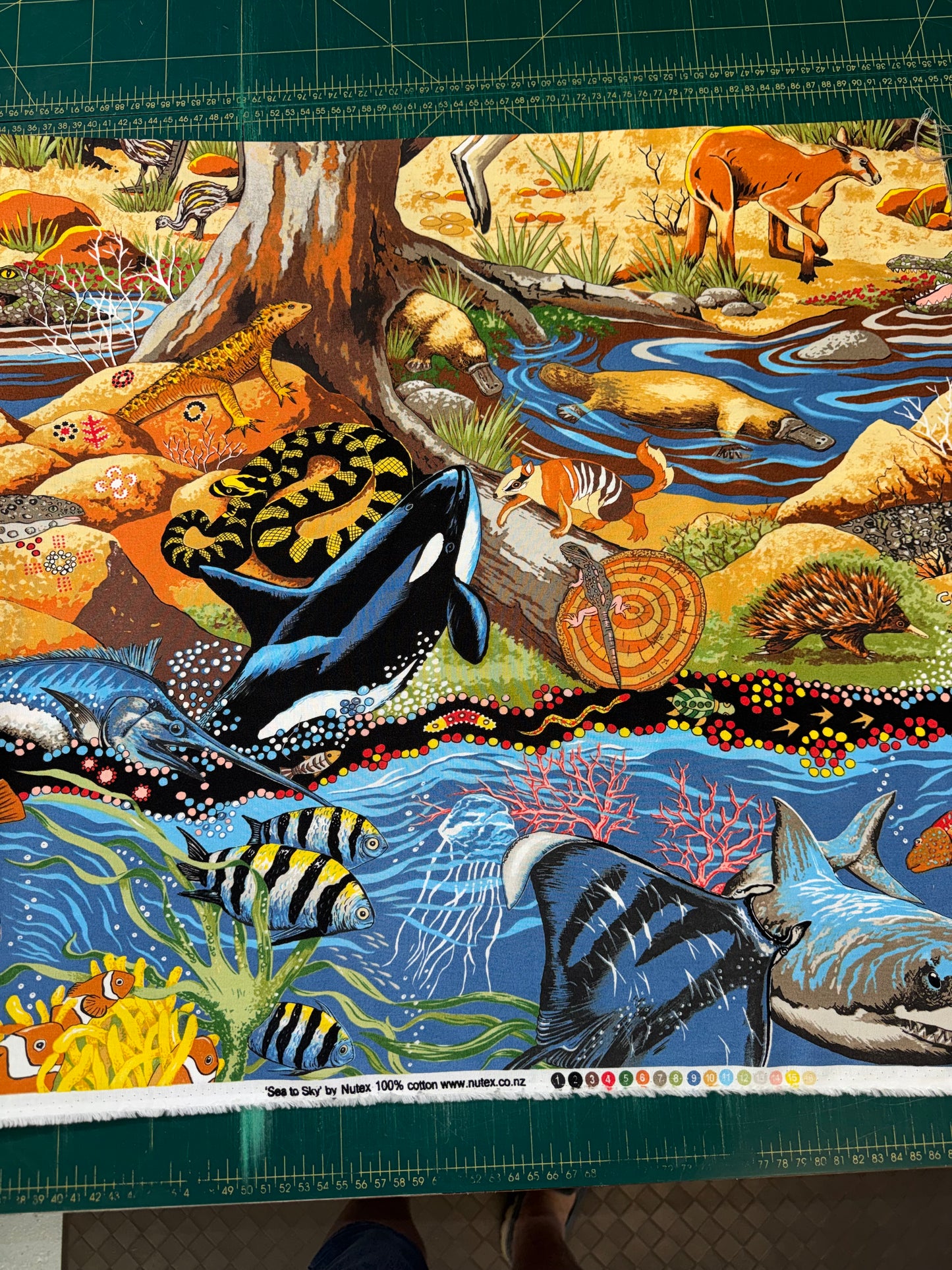 Sea to Sky - All the Aussie creatures in one print