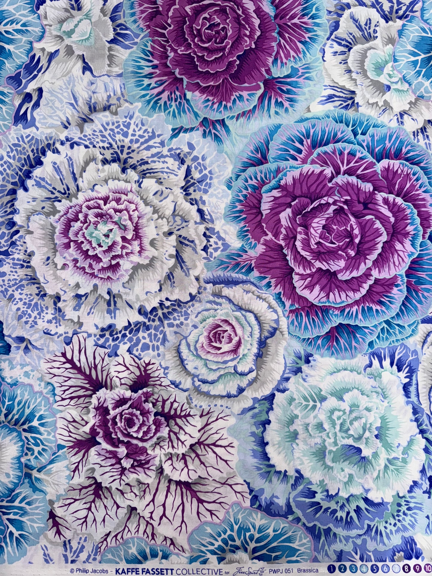 Kaffe Fassett Brassica in Sky 5.5m available