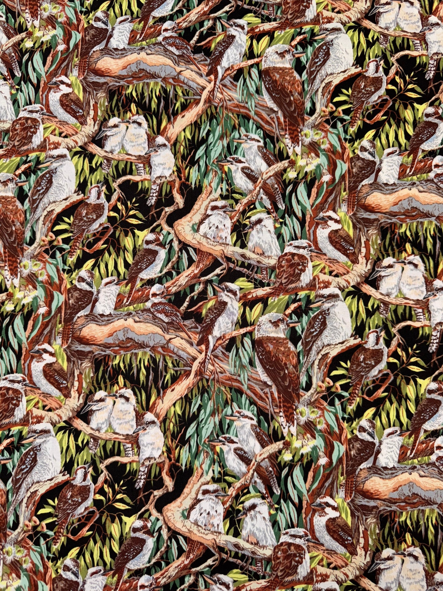 Kookaburras up a Gum Tree