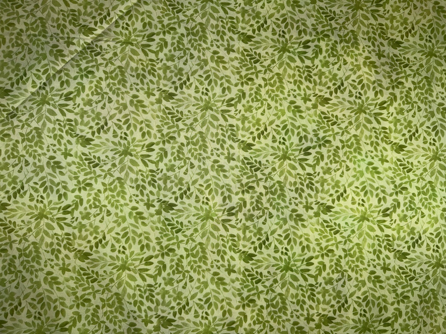 Blooming Day and Night by Jason Yenter -Light Green Leaves