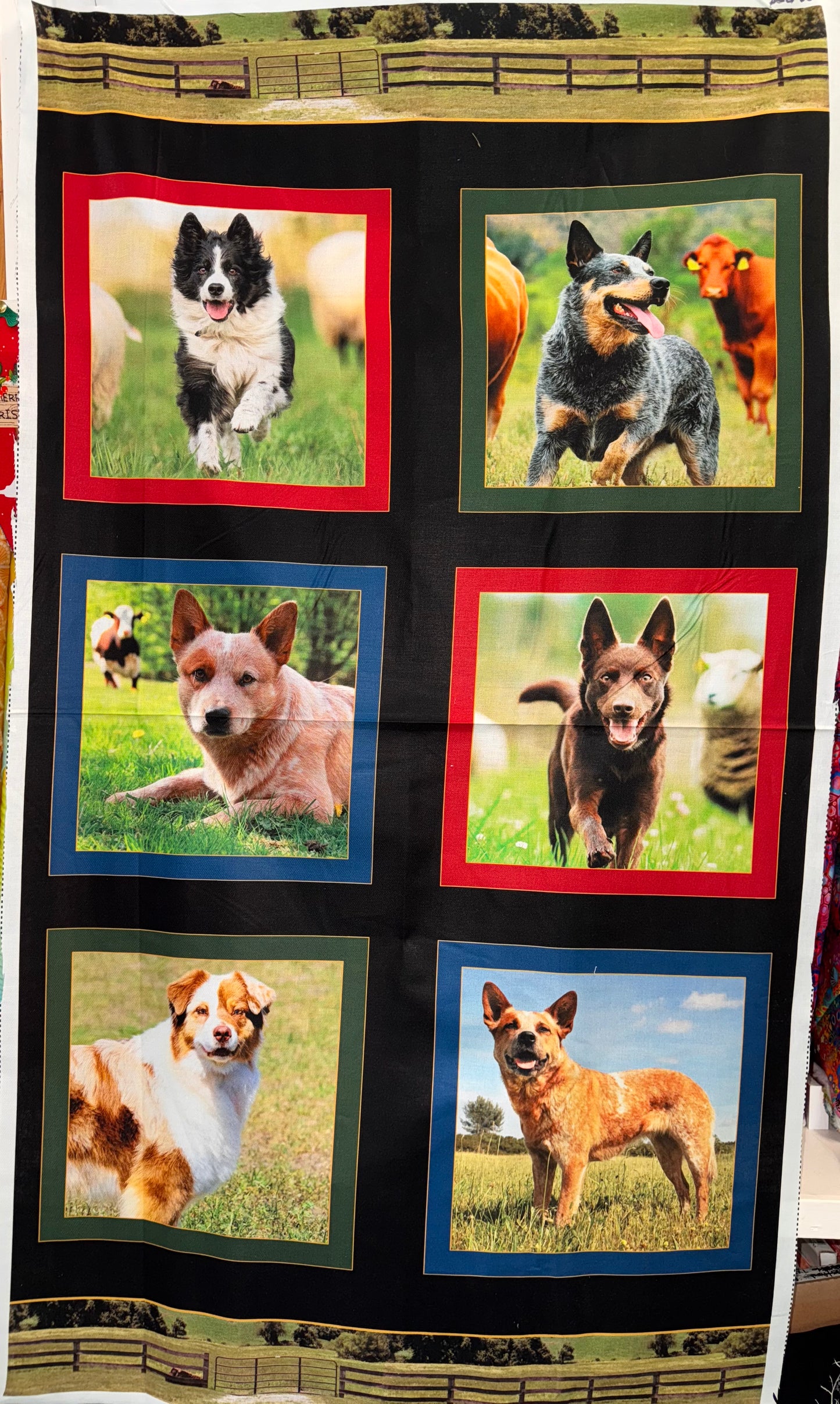 Merino Muster II Cattle Dogs 60cm panel.