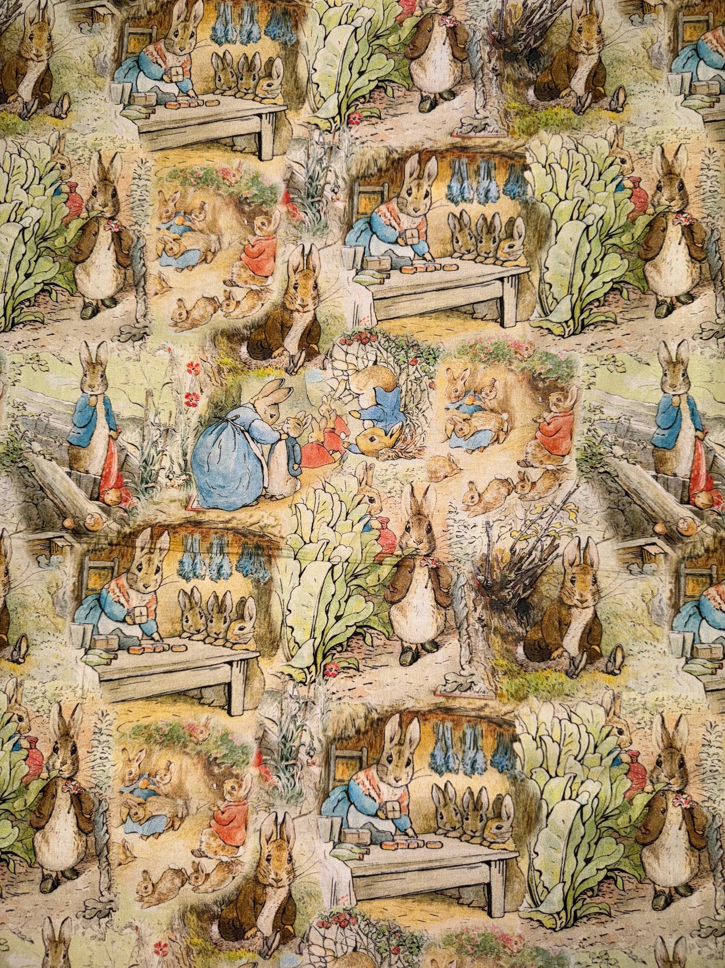 Peter Rabbit - Scenes from the Books