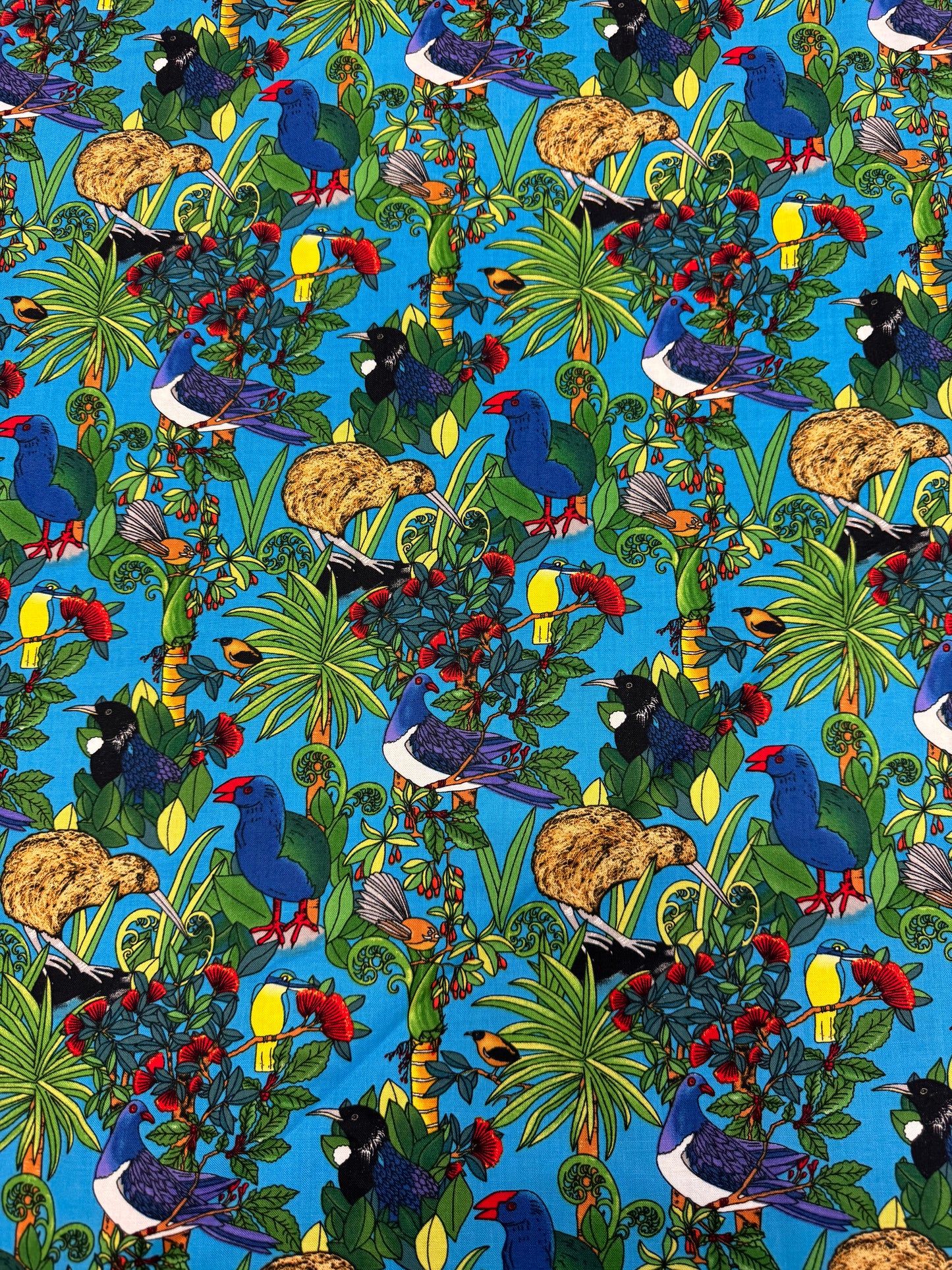 Kiwi Flora and Fauna