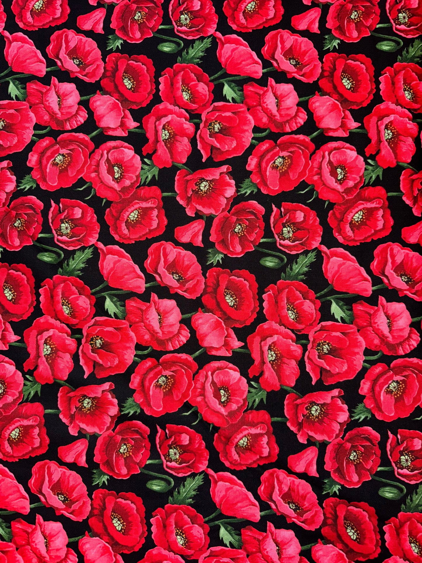 Poppies on black background. 1.0m available