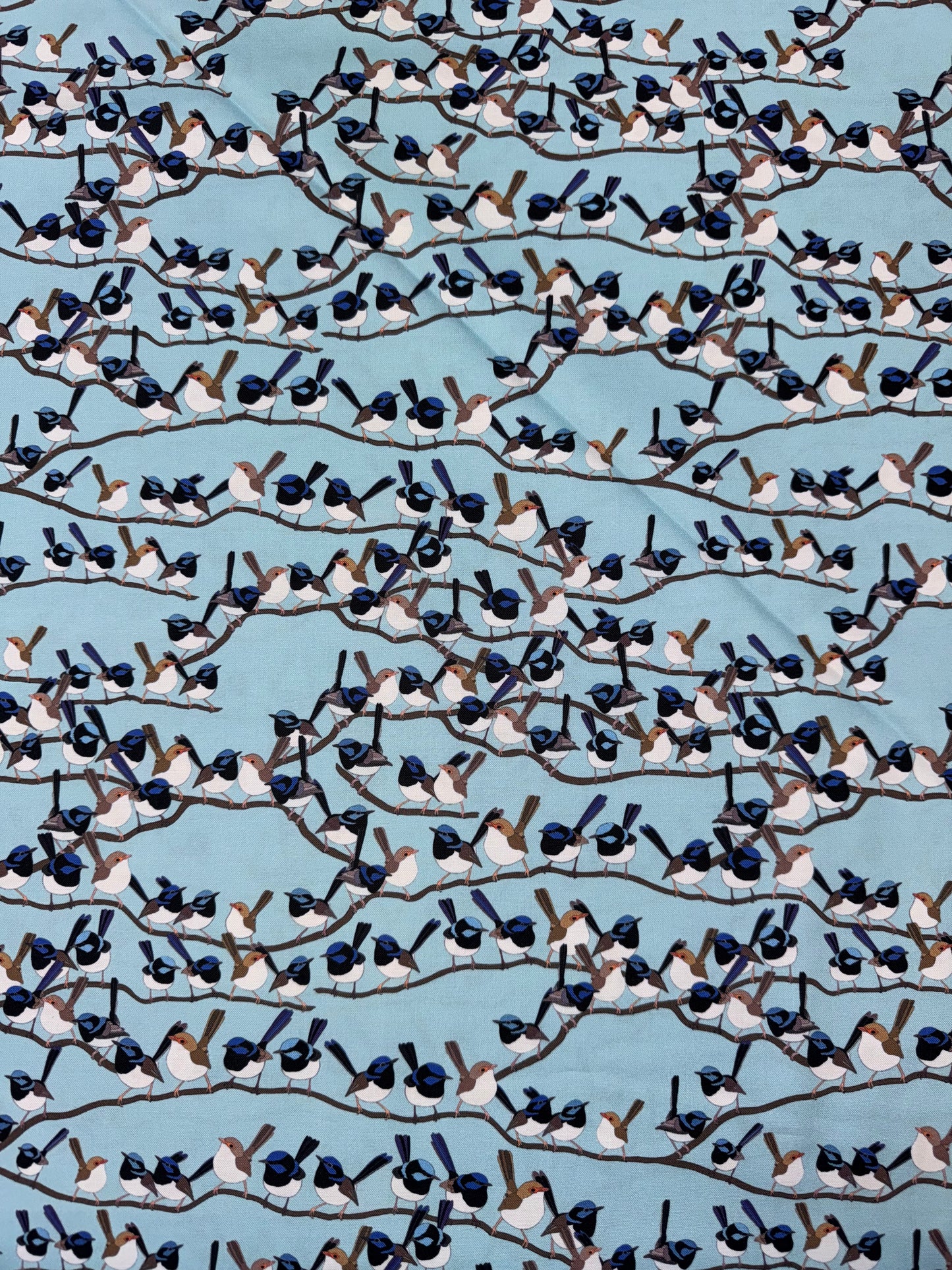 DV6284 Willy Wagtails Hanging out Red Parka