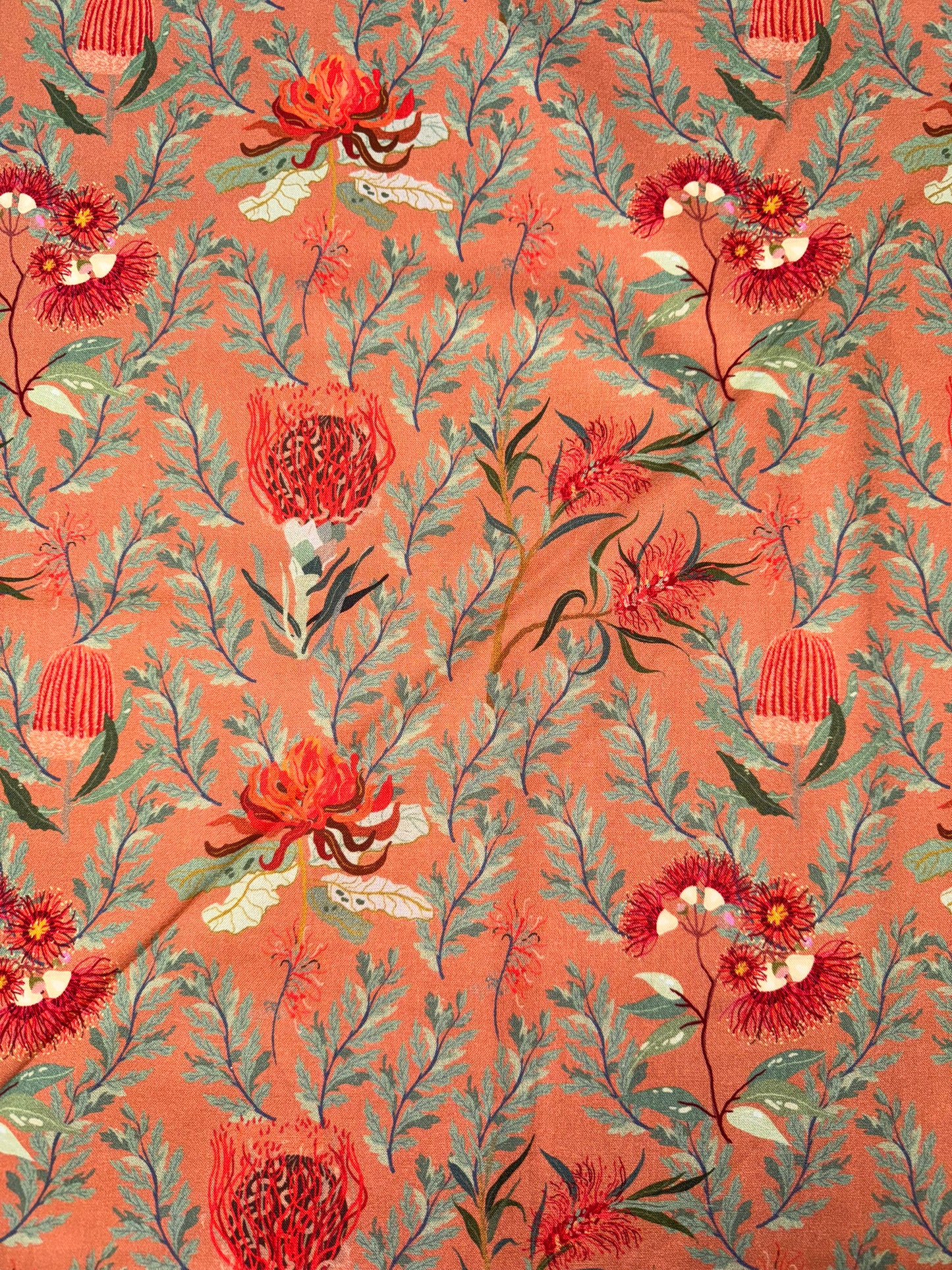 Nora's Natives Waratah on Rusty Red DV6355