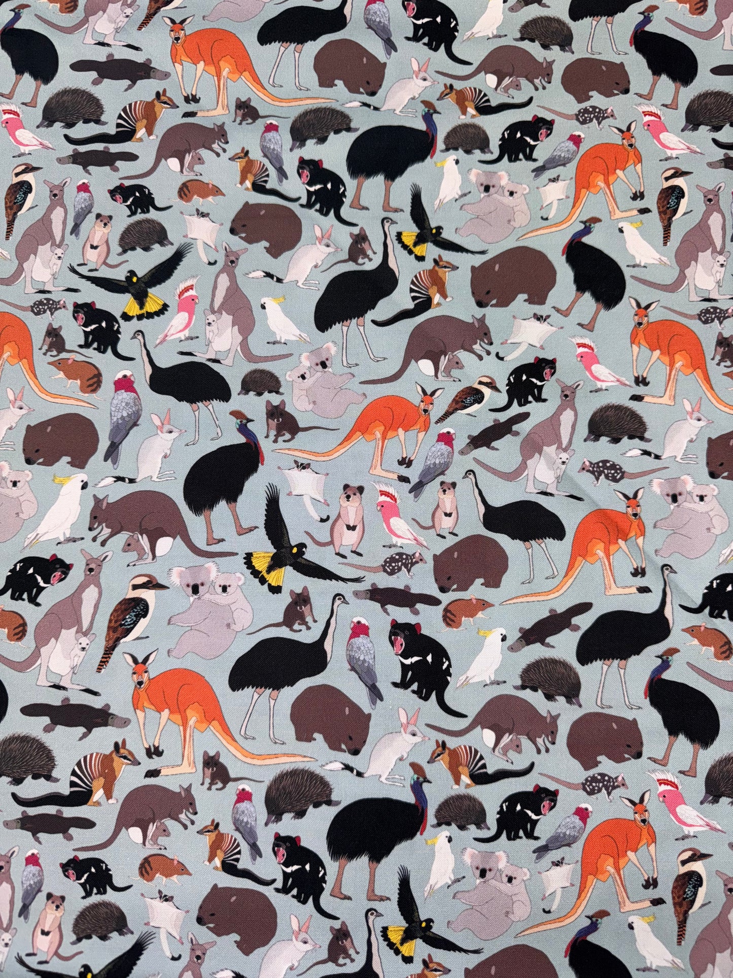 Red Parka Aussie Icons on blue background DV6281