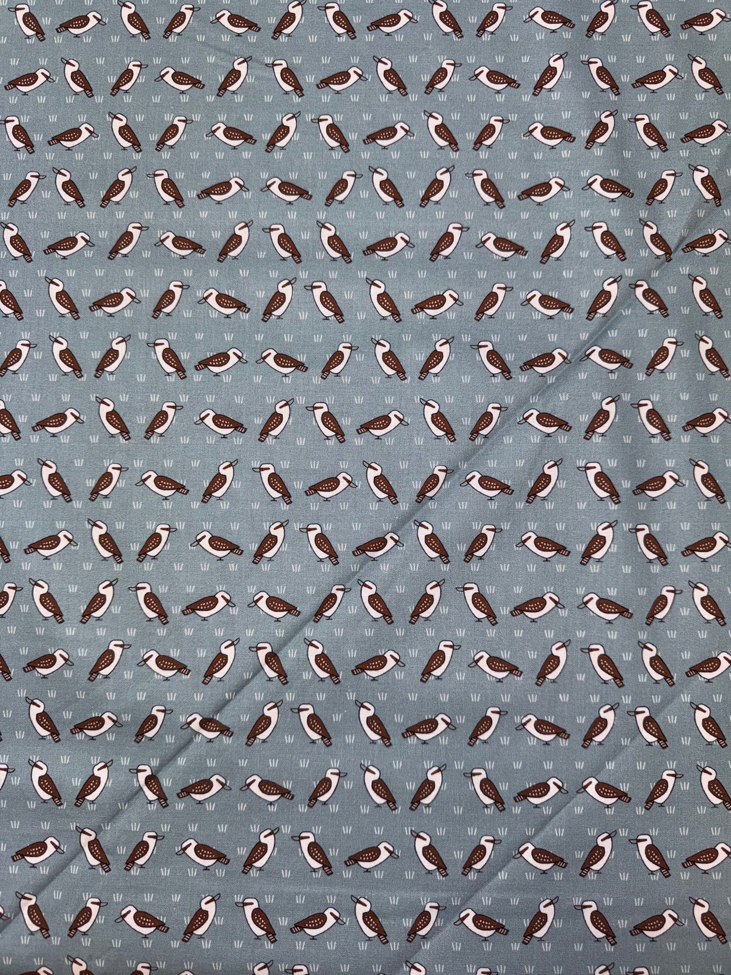 Red Tractor Aussie Kookaburra DV5471