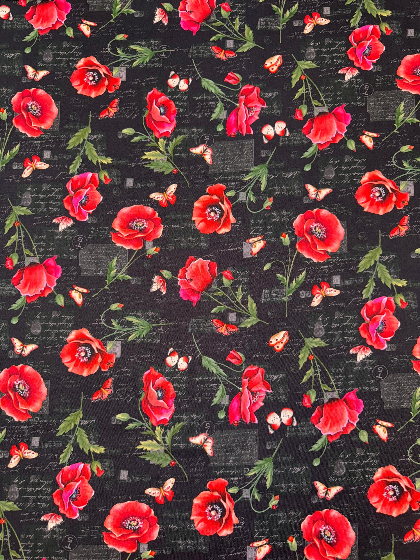 What's Poppin Scarlet Poppies on Black Background