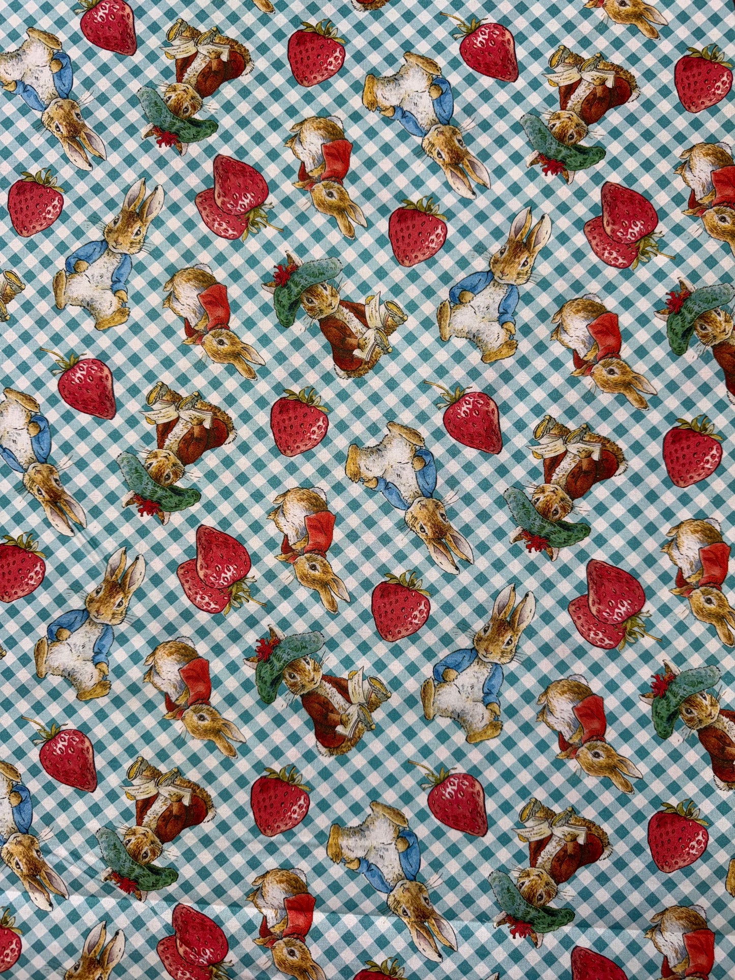 Peter Rabbit and Strawberries on Teal Gingham