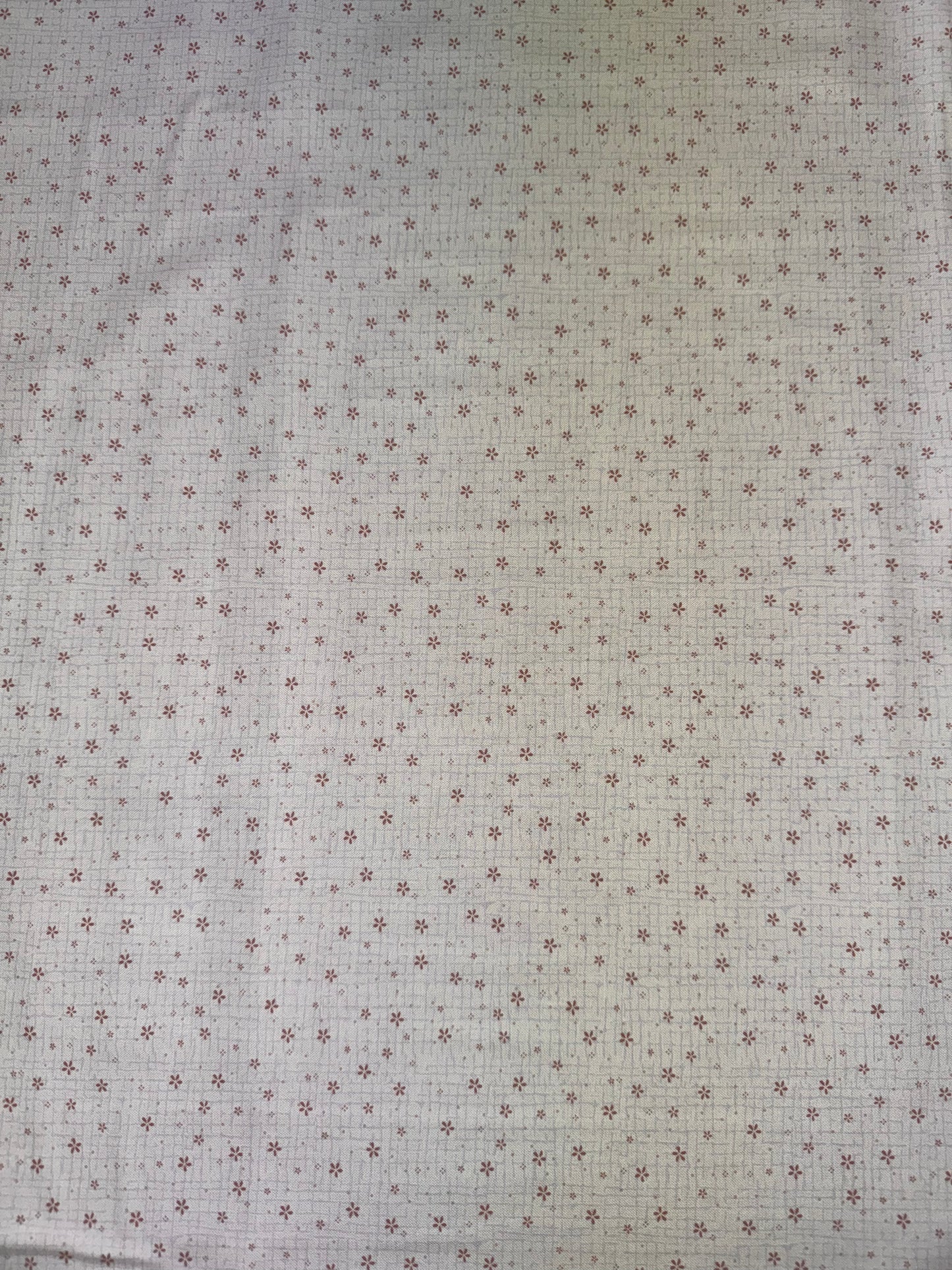 Fairy Garden - Cream Floral Background by Lynette Anderson