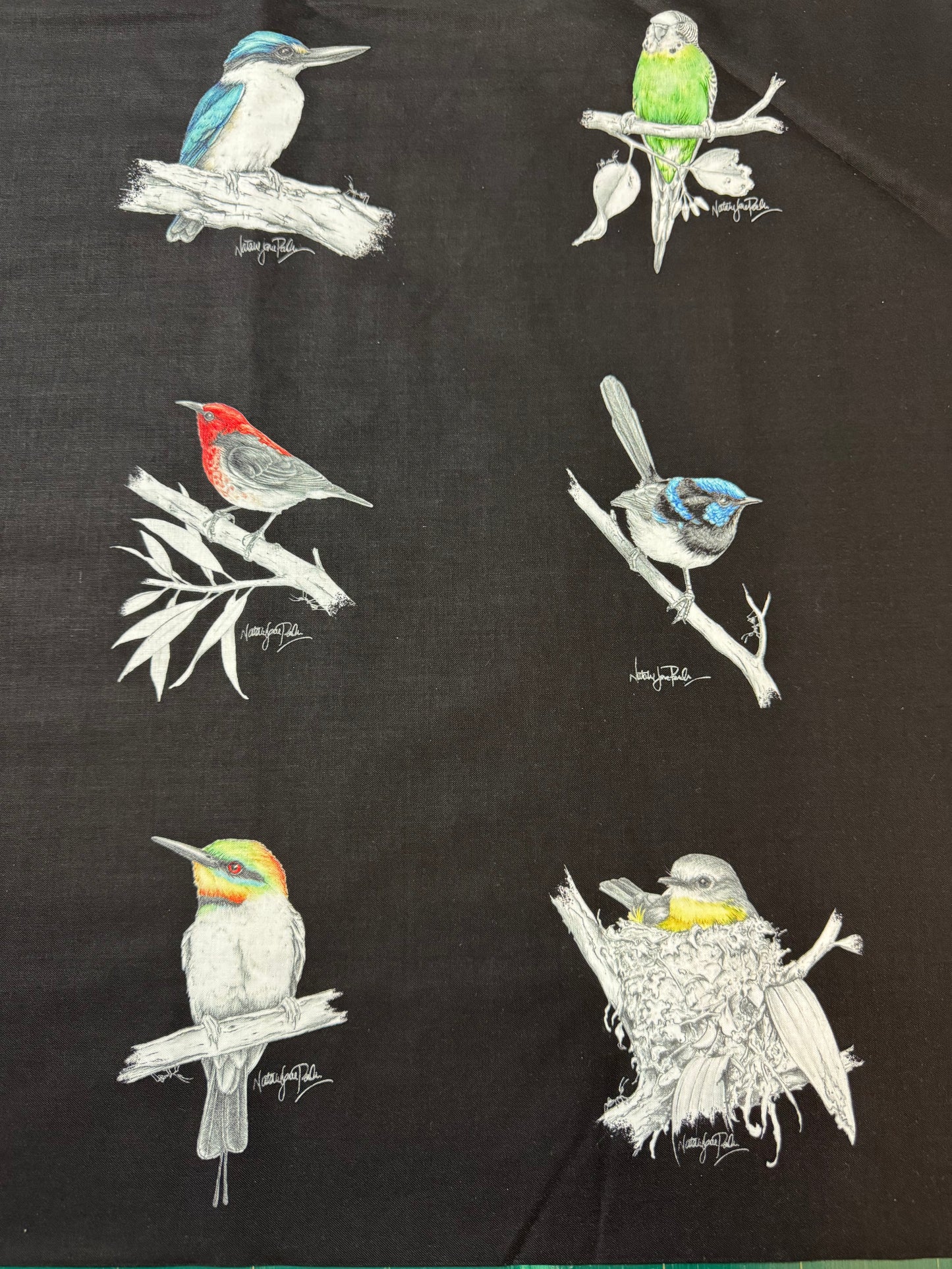 Natalie Jane Parker Fabric Panel -Australian Birds on Black Background 12 per 40cm repeat