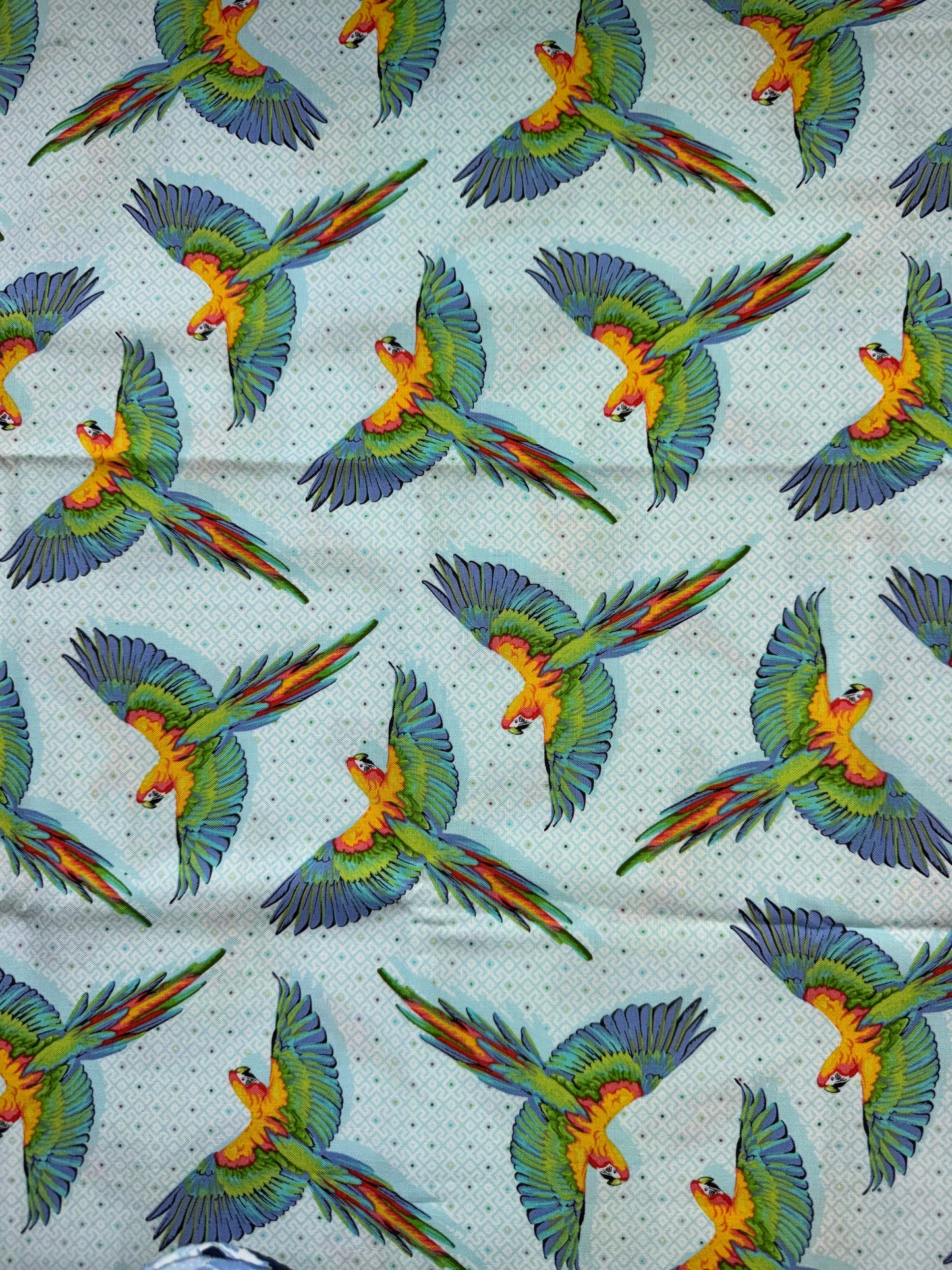 Tula Pink Daydreamer Collection .5m Pieces - Macaw ya Later - Blue with Blue Bird