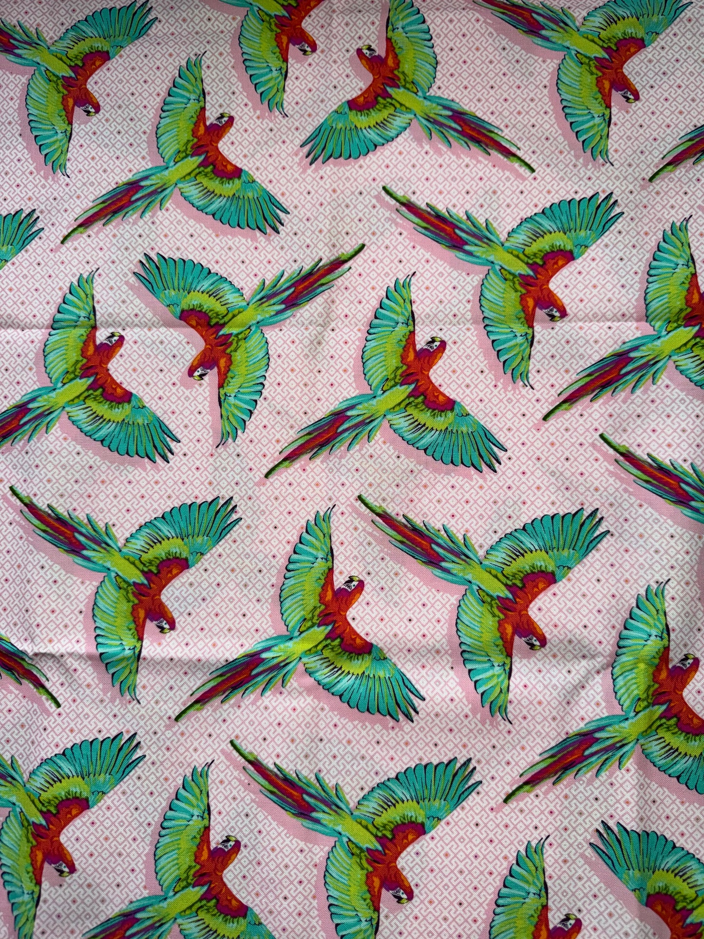 Tula Pink Daydreamer Collection .5m Pieces - Macaw ya Later - Pink with Green Birds