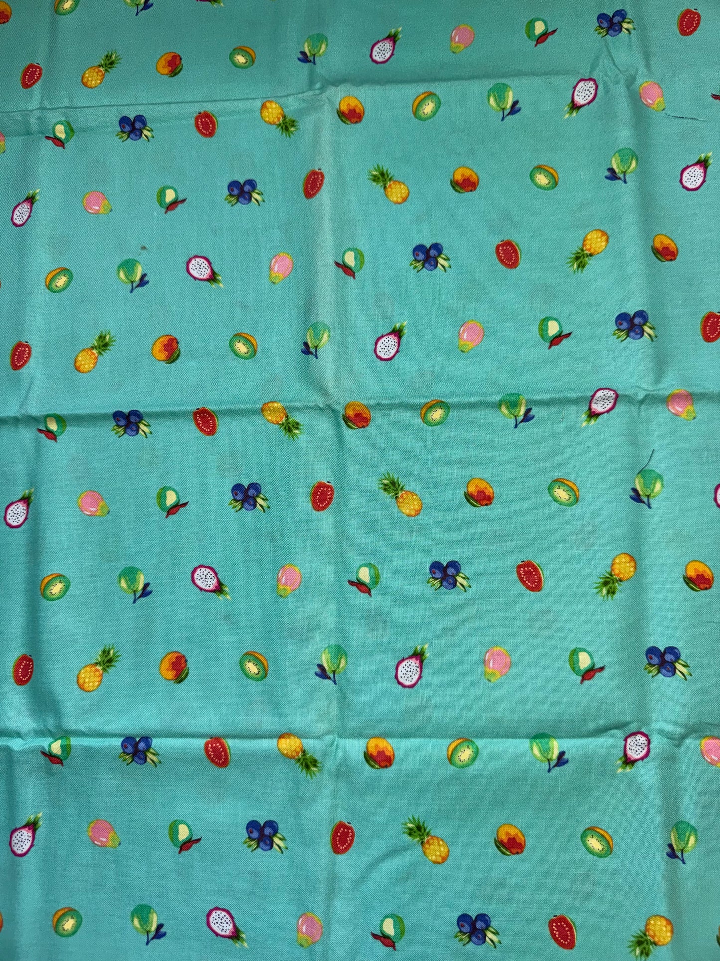 Tula Pink Daydreamer Collection .5m Pieces - Forbidden Fruit - Mojito