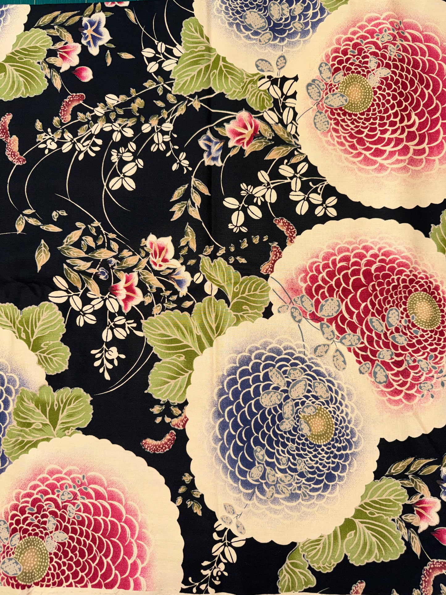 Japanese Large Chrysanthemums on black