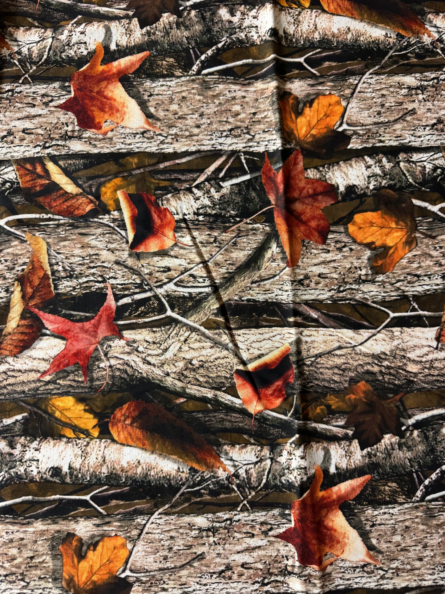 Silver Birch and Autumn Leaves