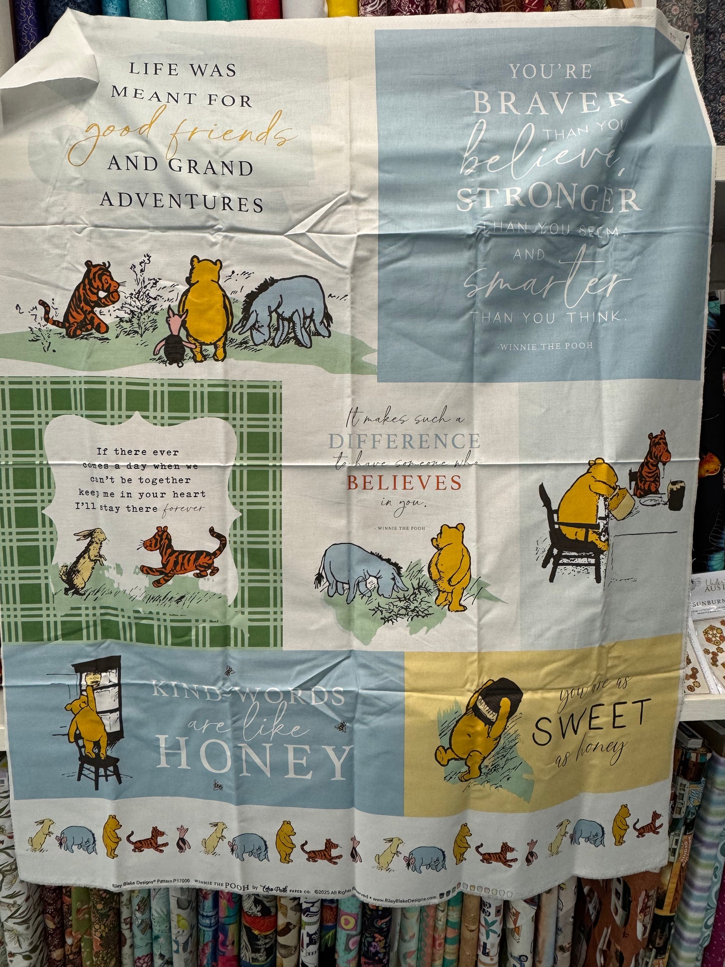 Winnie the Pooh fabric panel