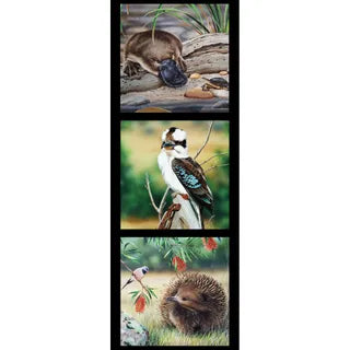 Natalie Jane Parker Fabric Panel - Platypus, Kookaburra and Echidna DV3706